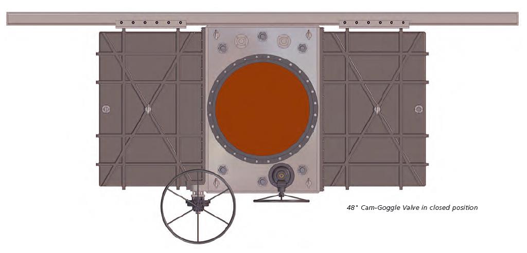 Enclosed Cam-Goggle Valve